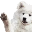cloudwavegif