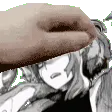 NagantPet