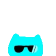 ravecat
