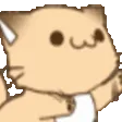 catpatt