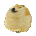 dogeroll Discord emoji