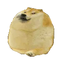 roll_doge