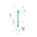 Charms
