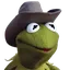 YEEHAWKERMIT