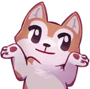 SaiaShrug2
