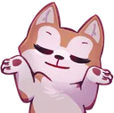 SaiaShrug