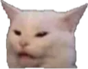 EC_wut