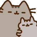 cattohug