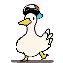 subaruduck