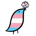 transpride