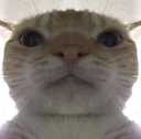 bob