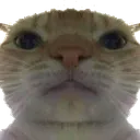 gatowhat