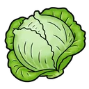cabbage
