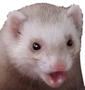 ferretpog2 Discord emoji