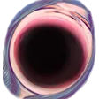 dizziOmegalulu dizziOmegalulu
