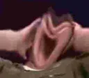 AAAAAA AAAAAA