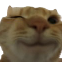 CatWink Discord emoji