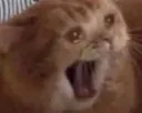 wah