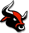 bulls