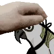 HarveyPat HarveyPat