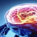 widebrain2 widebrain2