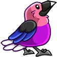 CrowGenderfluid CrowGenderfluid