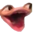 Pog Frog pogfrog Discord Emoji
