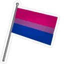 flag_bi