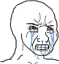 wojack_crying Discord emoji