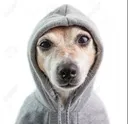 tobiserio