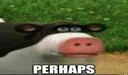 perhamps