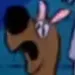 ScribbleDoo ScribbleDoo