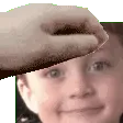 petHydroq
