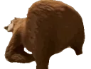 JIM