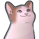 PoopiCat