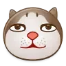 douyin_dog1