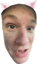 cgCat Discord emoji
