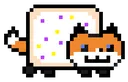 NyanKettu