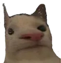 WutCat WutCat