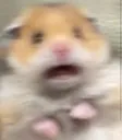 fear