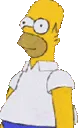 homer homer