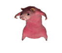 burnt Discord emoji