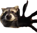 RaccoonGrab RaccoonGrab