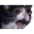 hamfuYamero