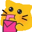 catsip