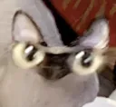 ket ket