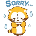 AA_Raccoon_Sorry AA_Raccoon_Sorry