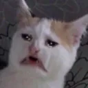 Crymoment Discord Emoji