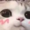 BAD_MECUTE BAD_MECUTE