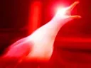 SCREEEEEEEEE